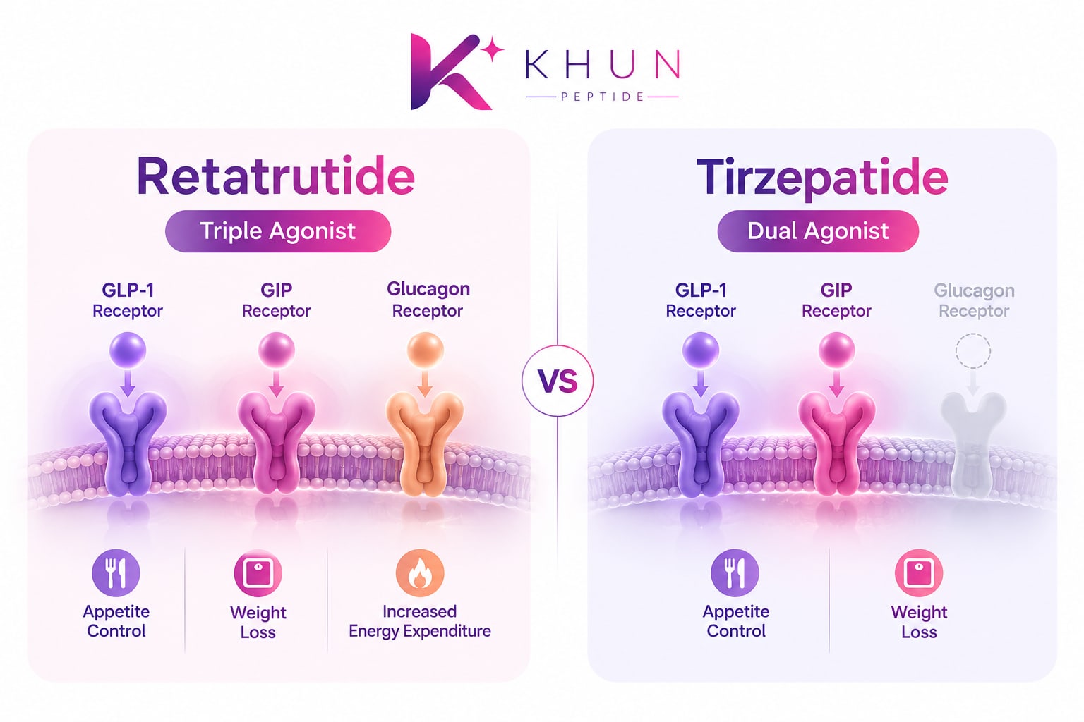 Retatrutide vs Tirzepatide research illustration comparing triple and dual agonist mechanisms targeting GLP-1, GIP and glucagon receptors